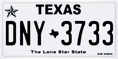 TX license plate DNY3733