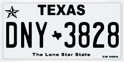 TX license plate DNY3828
