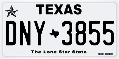TX license plate DNY3855
