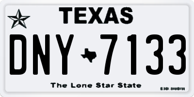 TX license plate DNY7133