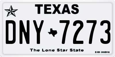TX license plate DNY7273
