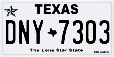 TX license plate DNY7303