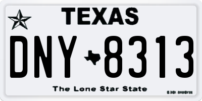 TX license plate DNY8313