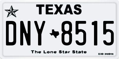 TX license plate DNY8515