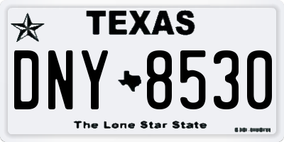 TX license plate DNY8530
