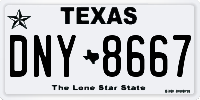 TX license plate DNY8667