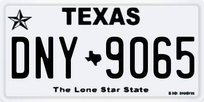 TX license plate DNY9065