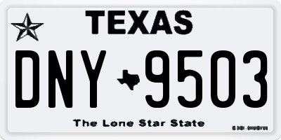 TX license plate DNY9503