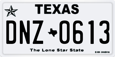 TX license plate DNZ0613
