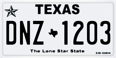TX license plate DNZ1203