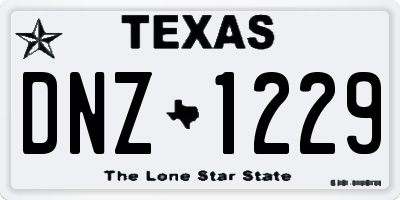 TX license plate DNZ1229