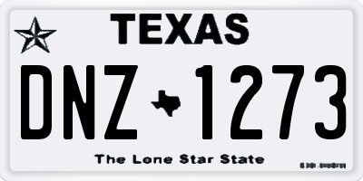 TX license plate DNZ1273