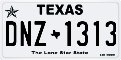 TX license plate DNZ1313