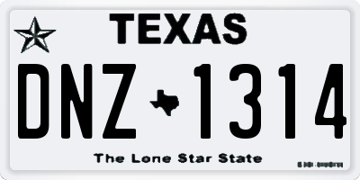 TX license plate DNZ1314