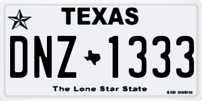 TX license plate DNZ1333