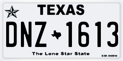 TX license plate DNZ1613