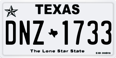 TX license plate DNZ1733