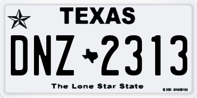 TX license plate DNZ2313