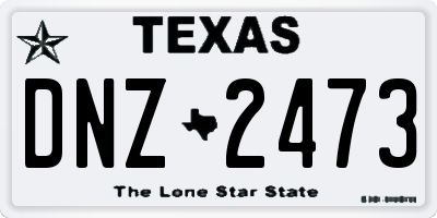 TX license plate DNZ2473