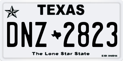 TX license plate DNZ2823