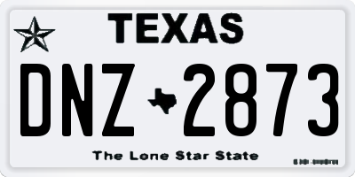 TX license plate DNZ2873