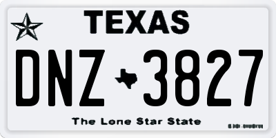 TX license plate DNZ3827