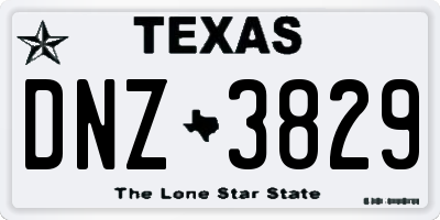 TX license plate DNZ3829