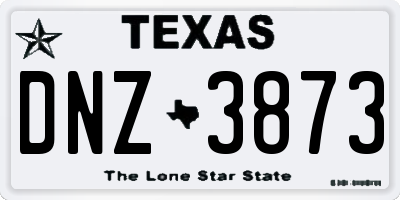 TX license plate DNZ3873