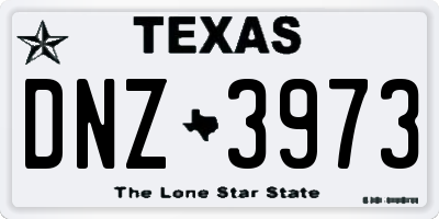 TX license plate DNZ3973