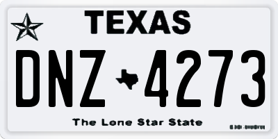 TX license plate DNZ4273