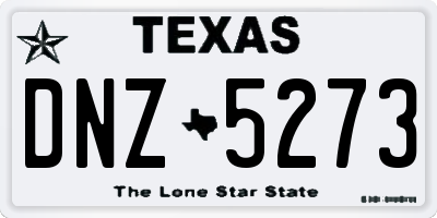 TX license plate DNZ5273
