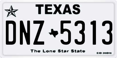 TX license plate DNZ5313