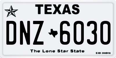 TX license plate DNZ6030
