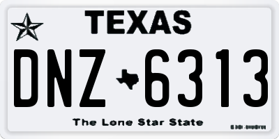 TX license plate DNZ6313