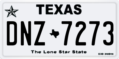 TX license plate DNZ7273