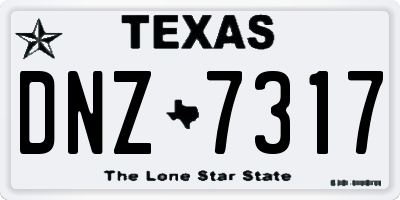 TX license plate DNZ7317