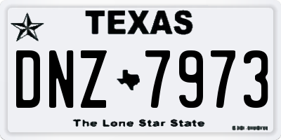 TX license plate DNZ7973
