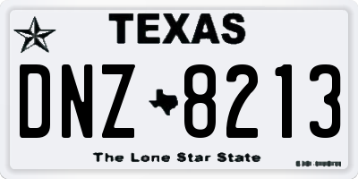 TX license plate DNZ8213