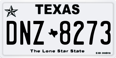 TX license plate DNZ8273