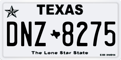 TX license plate DNZ8275