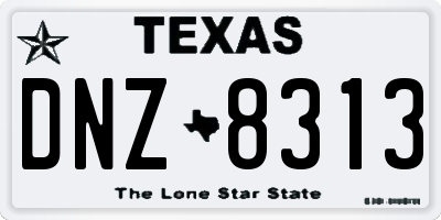 TX license plate DNZ8313