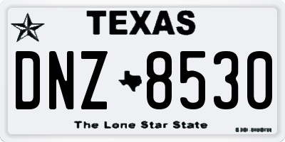 TX license plate DNZ8530
