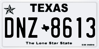 TX license plate DNZ8613