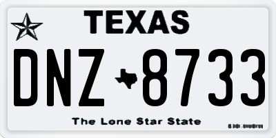 TX license plate DNZ8733