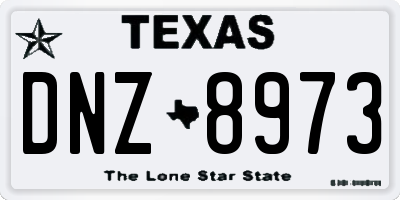TX license plate DNZ8973
