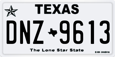 TX license plate DNZ9613