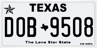 TX license plate DOB9508