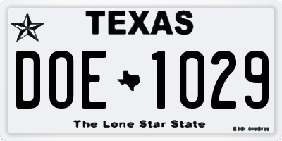 TX license plate DOE1029
