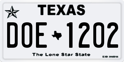 TX license plate DOE1202