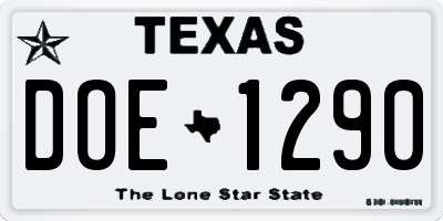 TX license plate DOE1290